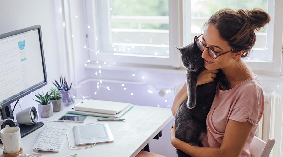 Trabalho remoto: mulher segura seu gato enquanto olha para sua área de trabalho, mostrando que dá para equilibrar home office e a atenção para os pets.
